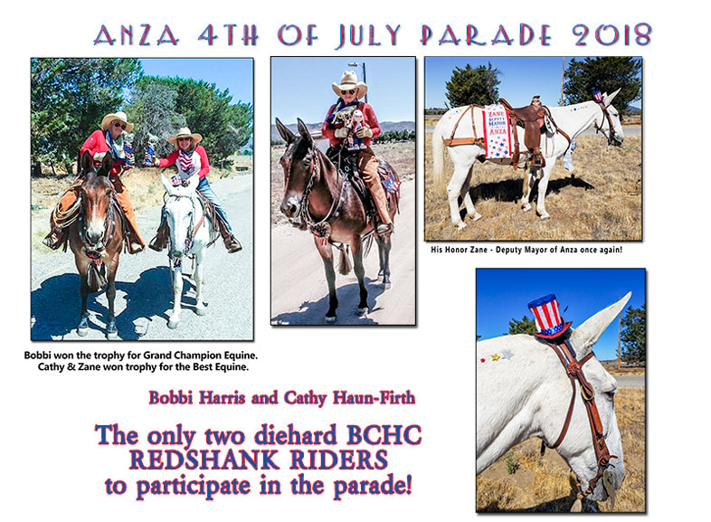 2018 BCHC Redshank Riders