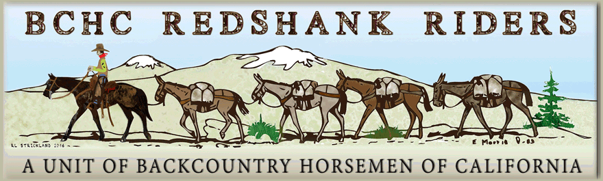 Redshank Riders